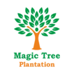 website designer in pune
