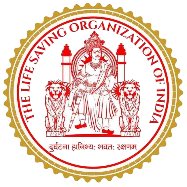 web developer india